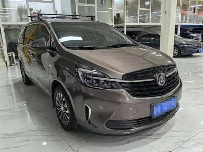 2022 Buick GL8 Land Business Class 652T Luxury, фото 3, лот 10250091