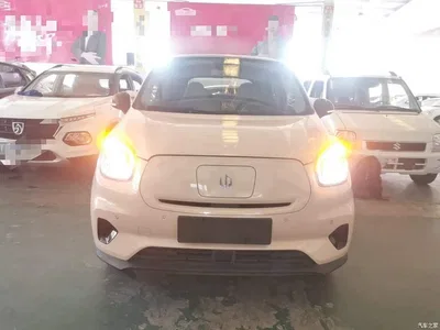 2022 Leapmotor T03 Pearl Edition, фото 3, лот 10441575