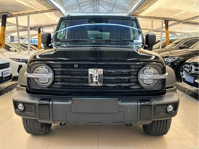 2023 Tank 300 Off-Road Edition 2.0T Conqueror, фото 2, лот 10344680