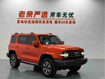 2023 Tank 300 Urban Edition 2.0T Very Stylish, фото 3, лот 10345124
