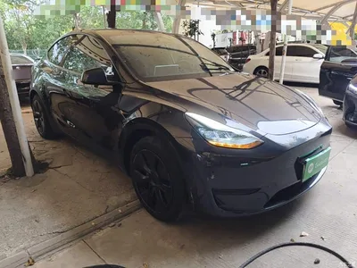 2024 Tesla Model Y Rear-Wheel Drive Version, фото 4, лот 10370648