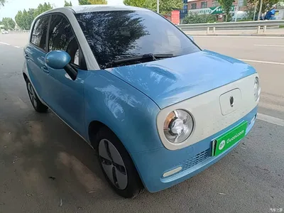 2021 Ora Black Cat 301km Basic Model, фото 4, лот 10330556