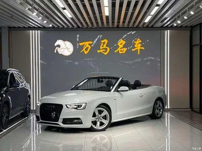 2016 Audi A5 (Import) Cabriolet 45 TFSI Progressive, фото 1, лот 10385508