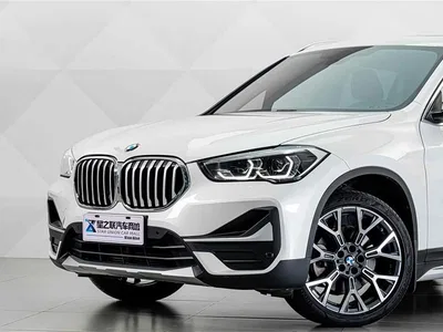 2021 BMW X1 Facelift xDrive25Li Premium, фото 3, лот 10414713