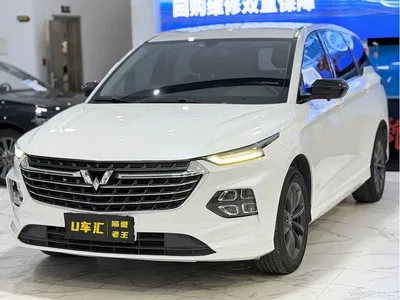 2020 Wuling Motors Wuling Victory 1.5T CVT Premium Edition, фото 1, лот 10832149