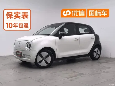 2021 Ora Black Cat 301km Basic Model, фото 1, лот 11227454
