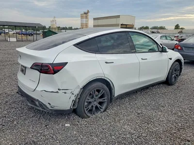 2024 TESLA MDL Y, фото 3, лот 11157589