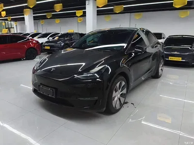 2021 Tesla Model Y Standard Range Rear-Wheel Drive, фото 1, лот 10370625