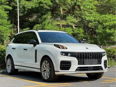 2021 Lynk & Co 09 EM-P 2.0T PHEV Halo 6-seater, фото 3, лот 11249989