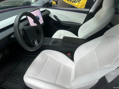 2025 Tesla Model 3 Model Rear-Wheel Drive Edition, фото 4, лот 11449368