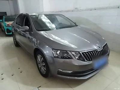 2019 Škoda Octavia 1.5L Automatic Smart Comfort China VI, фото 4, лот 11216577
