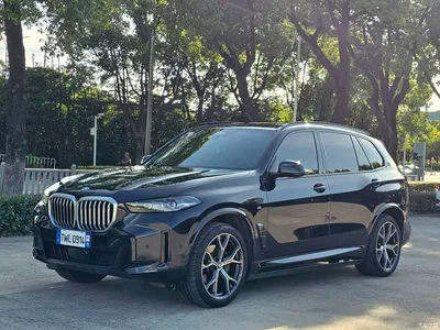 2023 BMW X5 xDrive 30Li Premium M Sport Black Night Package, фото 3, лот 10237502