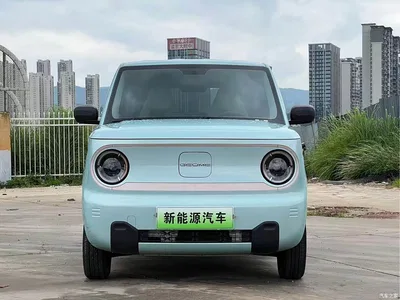 2024 Geely Galaxy Panda mini 200km Endurance Bear, фото 2, лот 10430695