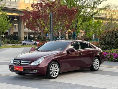 2009 Mercedes-Benz CLS 300, фото 1, лот 10299477