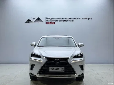 2020 Lexus NX 200 AWD F Sport China V, фото 2, лот 10310956