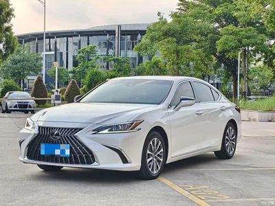 2023 Lexus ES 200 Luxury Edition, фото 1, лот 10313510