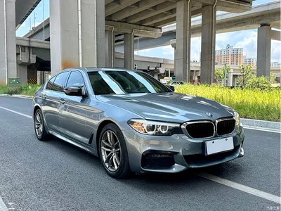 2019 BMW 5 Series (Import), фото 3, лот 10474271