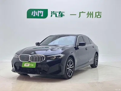 2023 BMW 3 Series 320Li M Sport Package, фото 1, лот 11582834