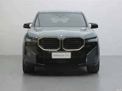 2023 BMW XM Model Base, фото 3, лот 10425510
