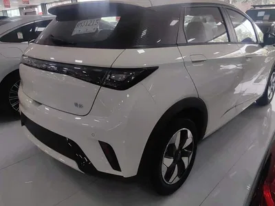 2025 BYD Dolphin 420km Vitality Edition, фото 3, лот 11136991