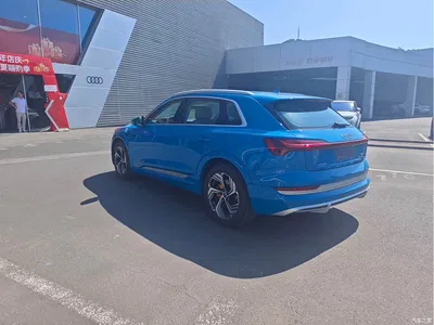 2021 Audi e-tron 50 quattro Exclusive Selection, фото 2, лот 10473704
