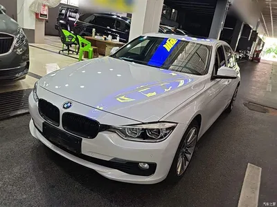 2019 BMW 3 Series 320Li Fashion Type, фото 2, лот 10458012