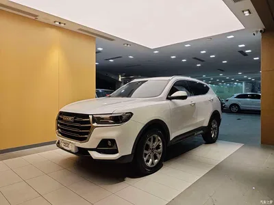 2021 Haval H6 National Trend Edition 2.0GDIT Automatic Champion, фото 1, лот 10886891