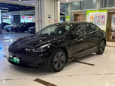 2022 Tesla Model 3 Model Rear-Wheel Drive Version, фото 1, лот 10453707