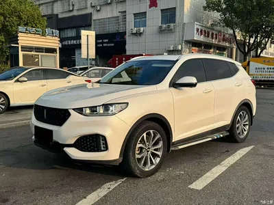 2018 WEY VV6 2.0T 4WD Flagship China V, фото 1, лот 11314758
