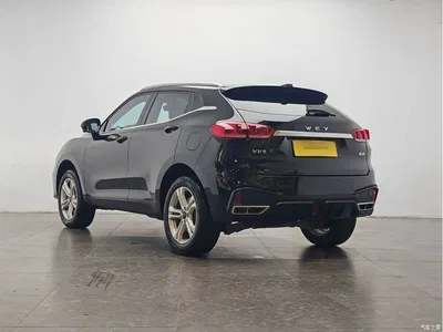 2020 WEY VV5 1.5T 2WD Style Pioneer, фото 4, лот 10450850