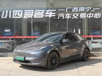 2021 Tesla Model Y Model Long Range AWD, фото 1, лот 11386432
