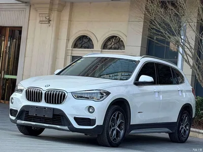 2019 BMW X1 sDrive18Li Premium Model, фото 1, лот 10481627