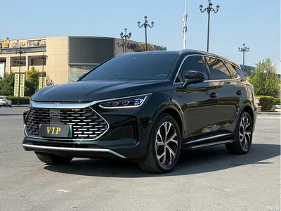 2025 BYD Tang New Energy DM-i 115KM Premium, фото 1, лот 10273879