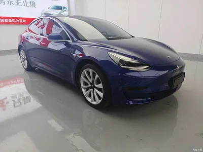2020 Tesla Model 3 Standard Range Rear-Wheel Drive Upgrade, фото 3, лот 10401747