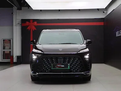 2024 Buick GL8 New Energy Landglory Premium Edition 7-Seater, фото 2, лот 10273243