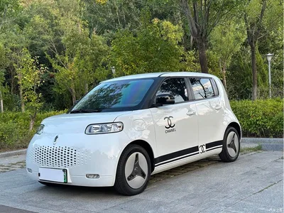 2020 Ora White Cat 401km Long Range Model, фото 1, лот 10330359