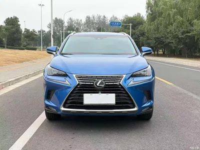 2018 Lexus NX Model 200 AWD Fengshang Edition China V, фото 3, лот 11018364
