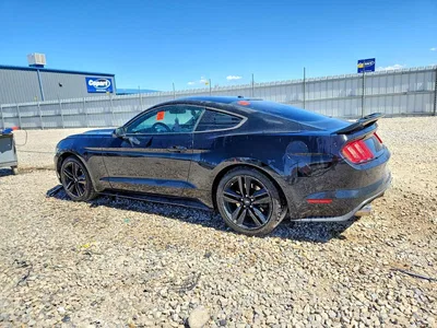 2015 FORD MUSTANG, фото 2, лот 10509780