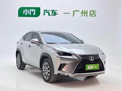 2020 Lexus NX 200 FWD Fengyi Edition China VI, фото 3, лот 11132238
