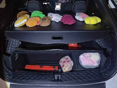 2024 Geely Boyue 1.5TD Smart Connect+, фото 4, лот 11012761