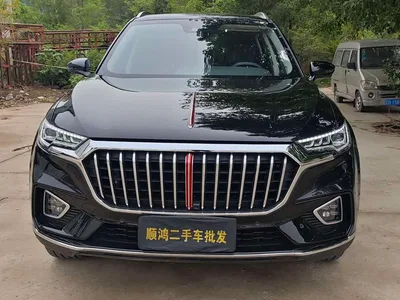 2019 Hongqi HS5 2.0T Intelligent Flagship 4WD Version, фото 2, лот 10360626