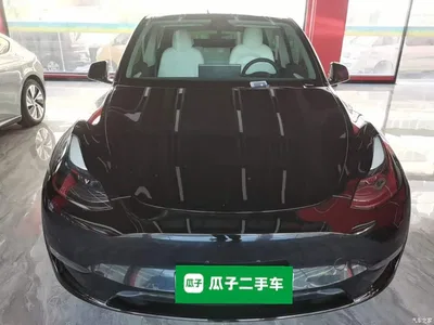 2021 Tesla Model Y Standard Range Rear-Wheel Drive, фото 3, лот 10374206