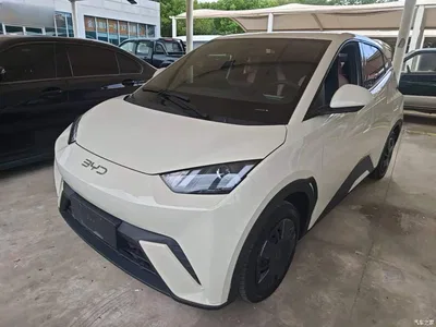 2024 BYD Seagull Glory Edition 305km Vitality Edition, фото 2, лот 10260367