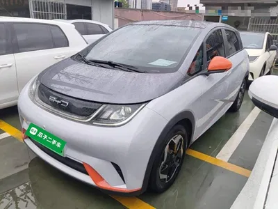 2021 BYD Dolphin Model 405km Fashion Edition, фото 2, лот 10264282