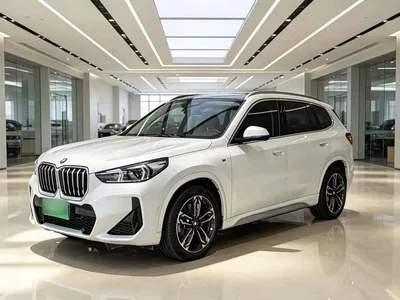 2023 BMW X1 sDrive25Li M Sport Package, фото 2, лот 11242319