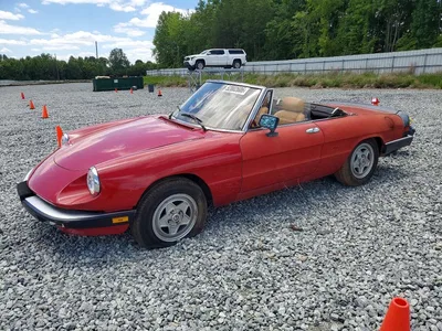 1986 ALFA ROMEO VELOCE 2000 SPIDER, фото 1, лот 11159747