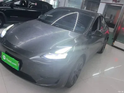 2024 Tesla Model Y Rear-Wheel Drive Version, фото 1, лот 11501874