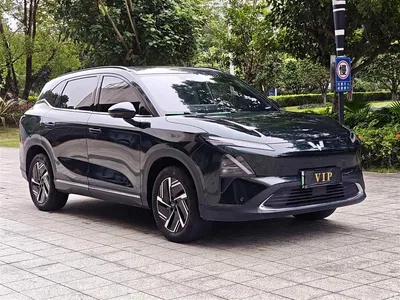 2024 Wuling Motors Wuling Xingguang S 130km Flagship Model, фото 3, лот 10836416