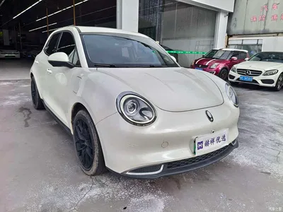 2022 Ora Good Cat 400km Standard Range Premium LFP, фото 3, лот 10332248