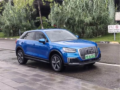 2019 Audi Q2L e-tron Pure Electric Smart Cool Edition, фото 3, лот 10902685